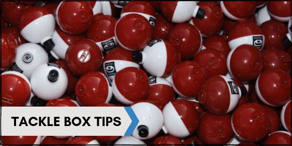 Tackle Box Tips