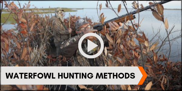 Waterfowl Hunting Methods