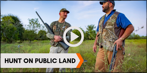 Hunt on Public Land