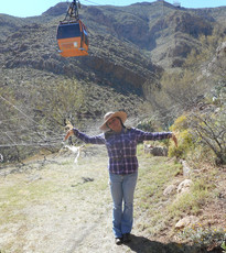 Wyler Aerial Tramway