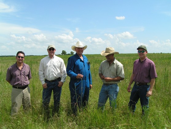 Landowners_Grasses