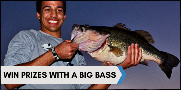Win Prizes with a Big Bass!