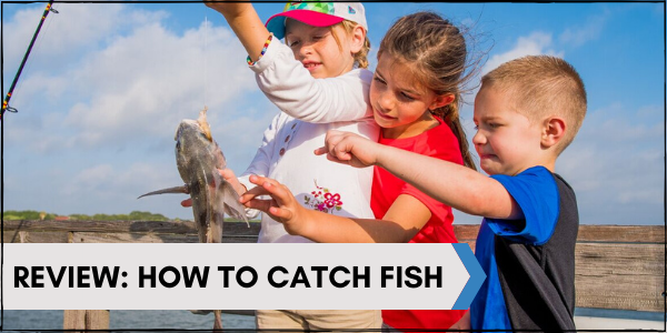 Review: How to catch fish