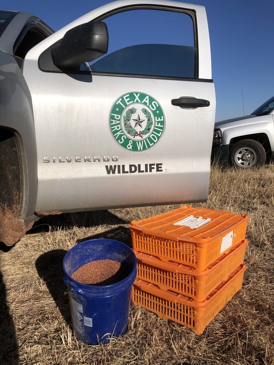 AnotherDayintheField