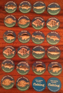 Pieces to a fish ID memory game
