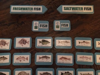 Picture of Fish Memory game pieces
