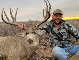 Ultimate Mule Deer