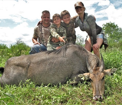 Nilgai Antelope Safari