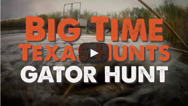 Gator Hunt