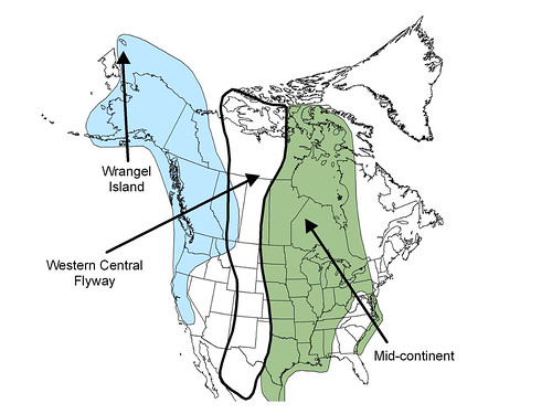 Snow Goose Flyway Map Small Game Field Notes - Fall 2020