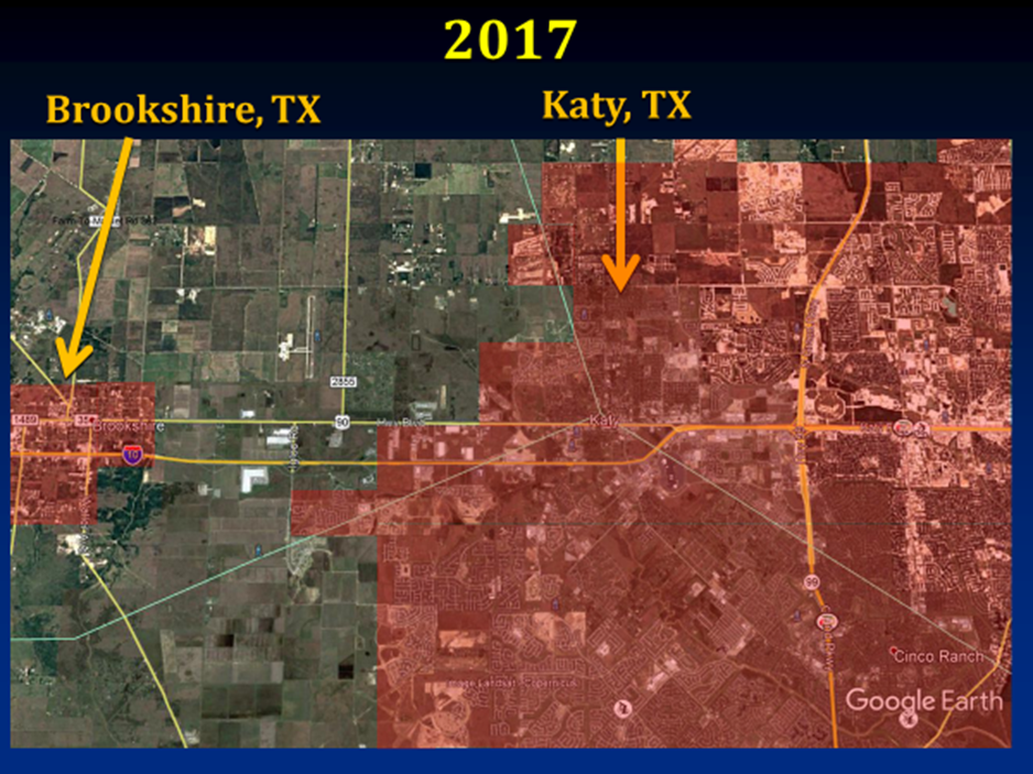 KatyPrairie2017_LightGeese