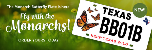 Fly with the monarchs