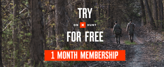 onX 1-month free membership offer