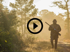 hunter in mist, video link