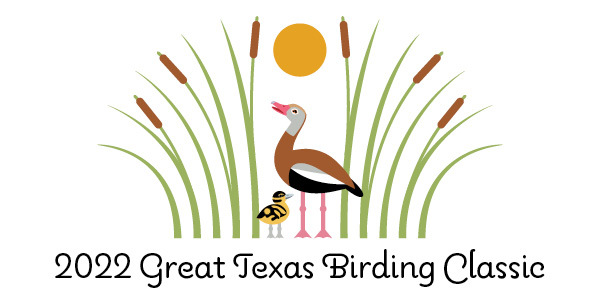 2022 Birding Classic artwork, Black-bellied Whistling-Ducks