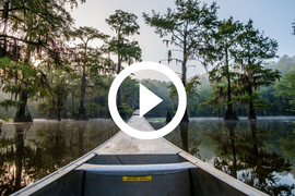 Canoe nosing into Caddo Lake SP, video link 