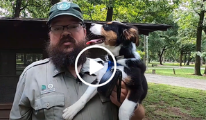 Ranger John holding puppy, video link 