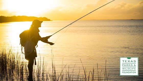 Woman fishing in sunset