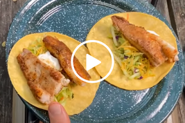 catfish tacos, video link