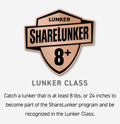 Picture of the ShareLunker 8+ category shield