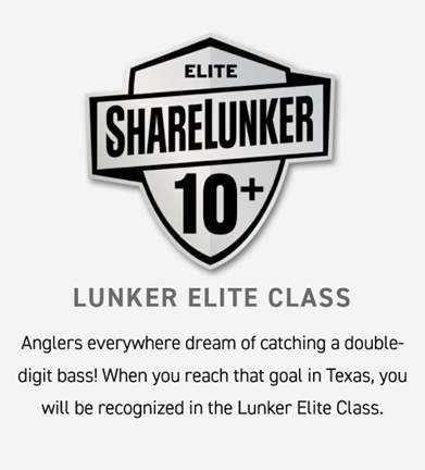 Picture of the ShareLunker 10+ category shield