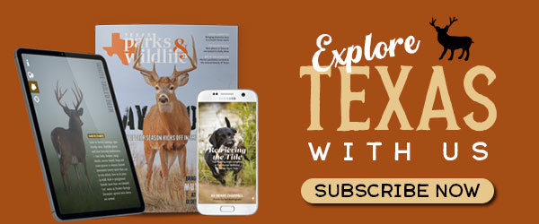 Texas Parks & Wildlife magazine offer