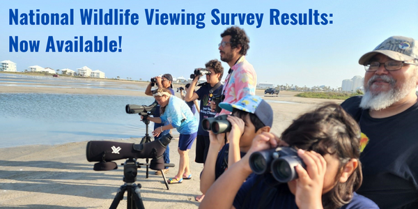 wildlife viewer survey email header