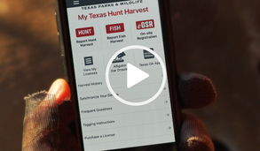 My Texas Hunt Harvest app