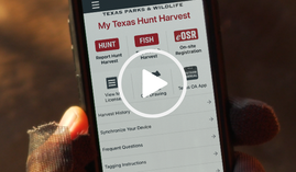 My TX Hunt Harvest app, link to video