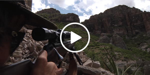 Closeup image of a hunter holding a rifle with a scope. The view is looking down the rifle, with mountains in the background.