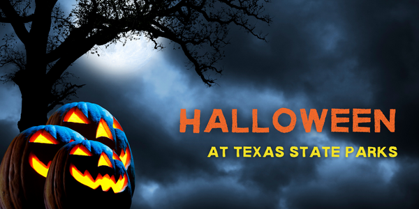 Image with 3 jack-o-lanterns on a background with a silhouette of a tree at night. Text reads, Halloween at Texas State Parks.