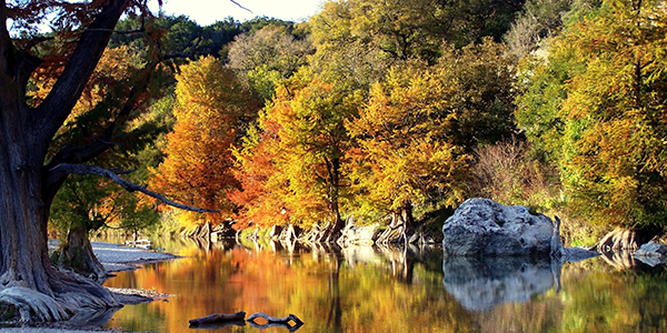 Image of trees along a river, turning fall colors of yellow and orange