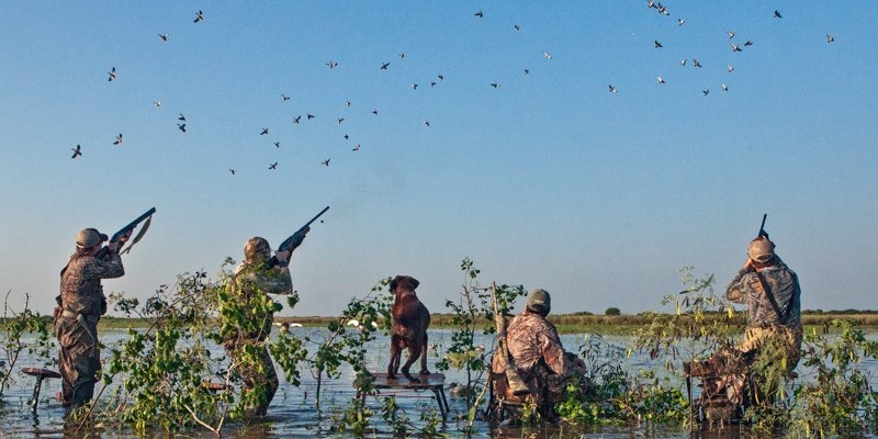 Duck hunters firing at flock