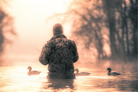 hunter in water with decoys