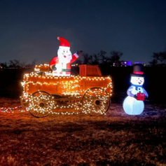 Image of a light-up Santa and snowman and a wagon decorated with lights.