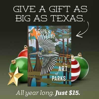 Image of Texas Parks & Wildlife Magazine cover.