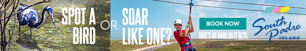 Soar Like a Bird at South Padre, with link 