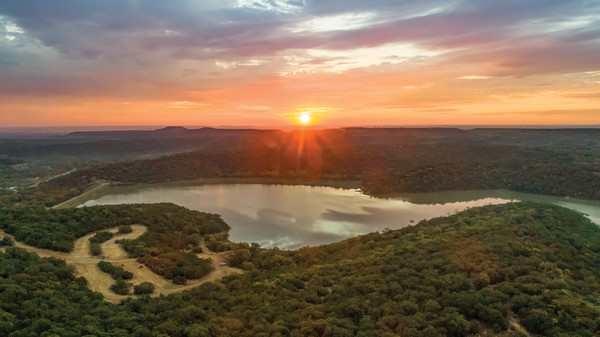 palo pinto