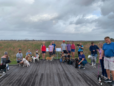 A group of people and dogs at Sheldon Lake