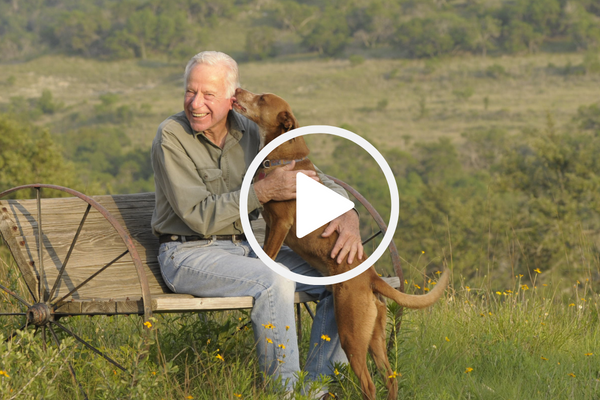David Bamberger outside with dog, video link