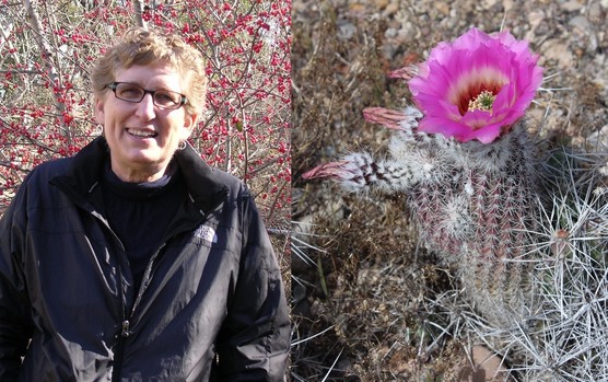 Norma Fowler and Chisos Mountain Hedgehog