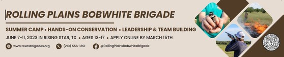 Bobwhite Brigade ad with link