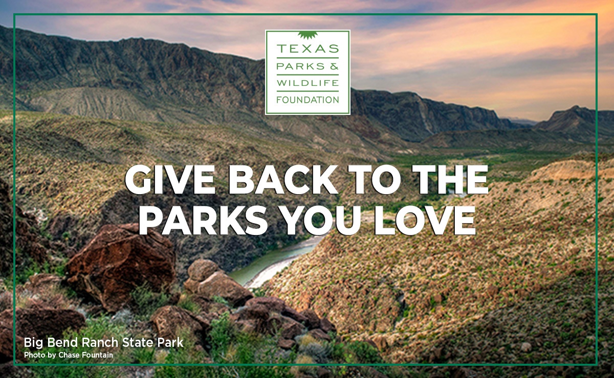 Image of Big Bend Ranch State Park