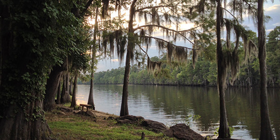 Image of Caddo Lake State Park 