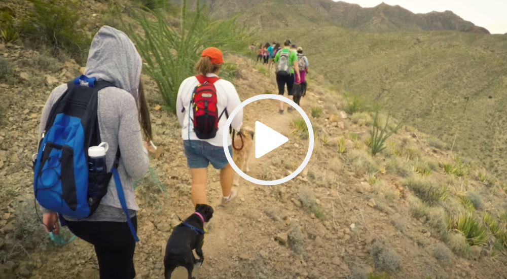 Hikers with dogs at Franklin Mountains