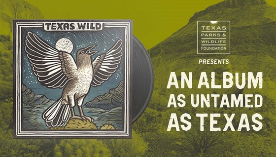 Texas Wild Album, with link 