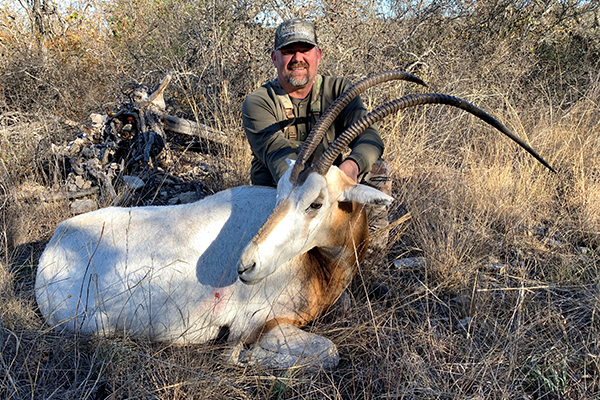 Exotic Safari winner