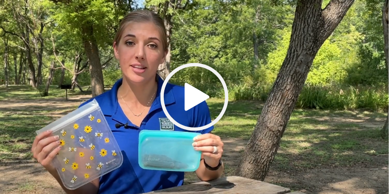 Woman holds two reusable sandwich bags, video link