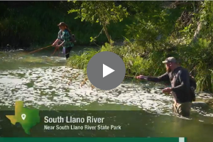South Llano River video