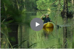 Improving river access video